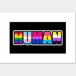 Human Lgbt Flag Gay Pride Month Transgender Posters and Art